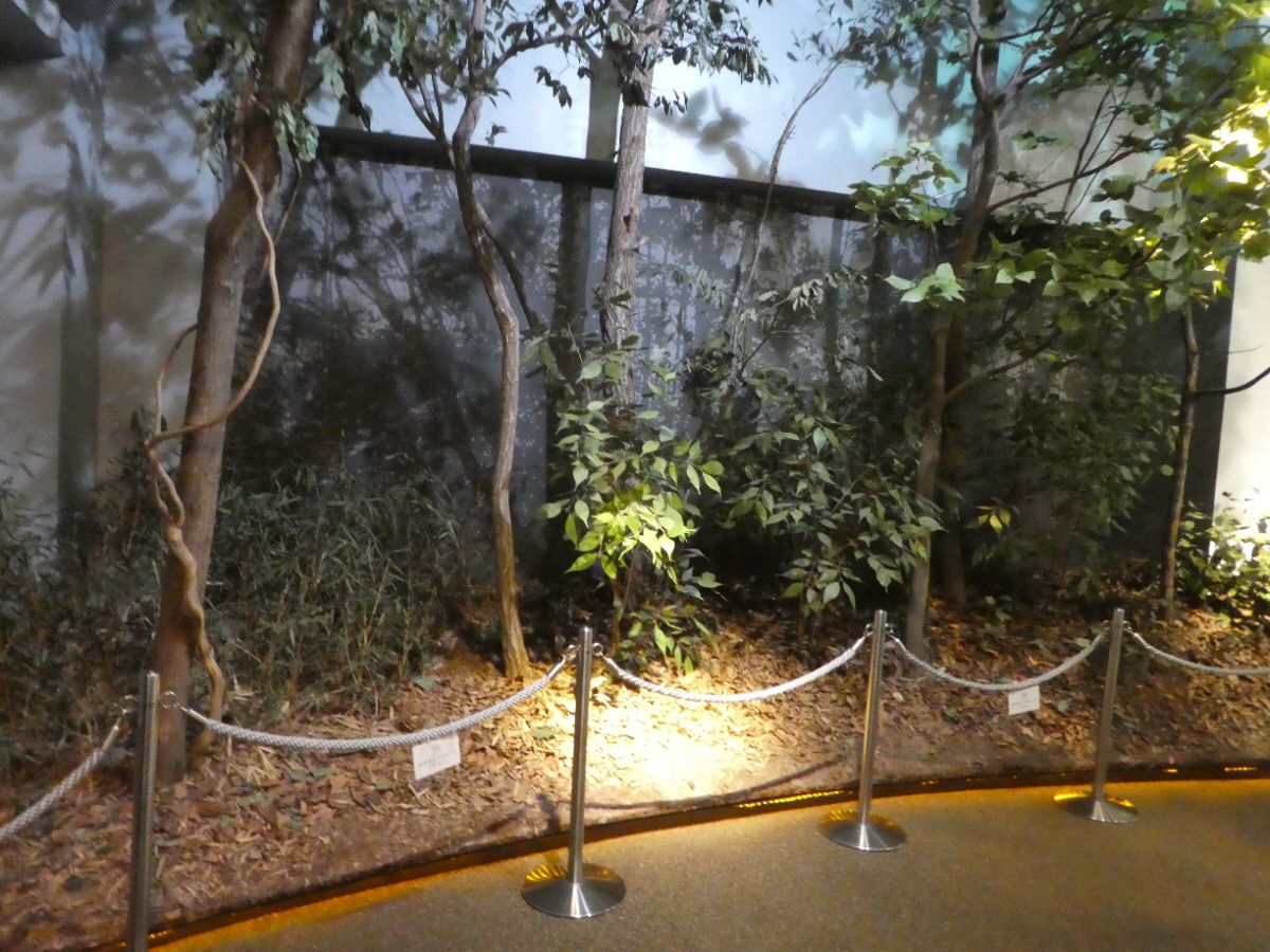 松戸市立博物館 常設展示