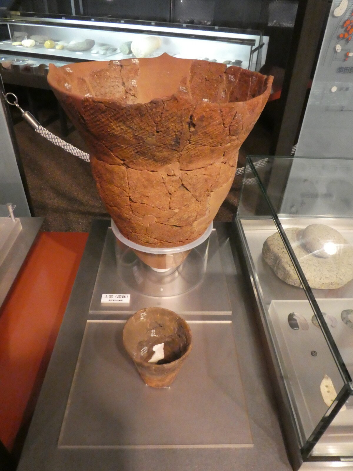 松戸市立博物館 常設展示