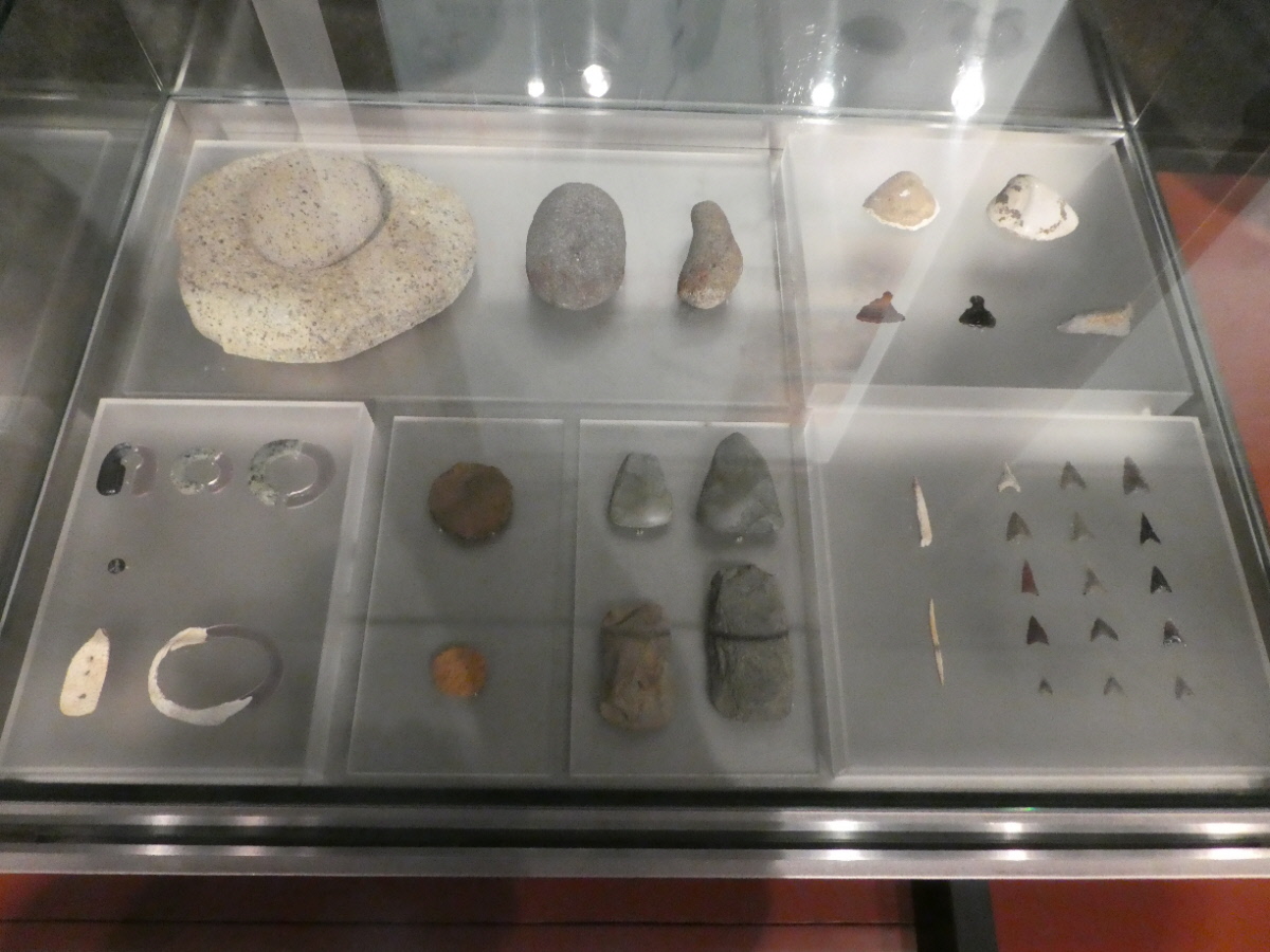 松戸市立博物館 常設展示