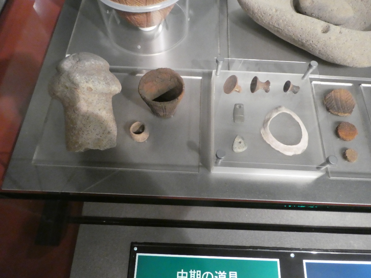 松戸市立博物館 常設展示