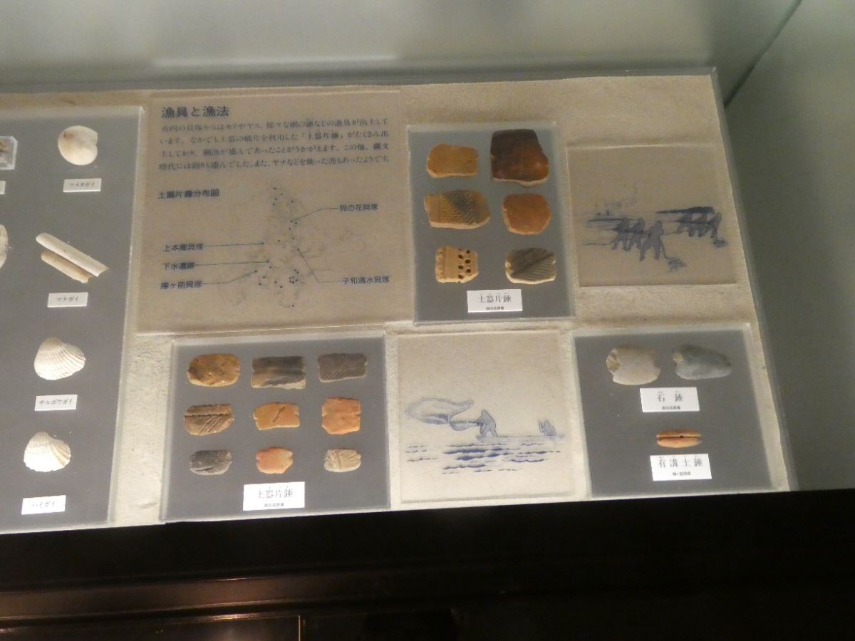 松戸市立博物館 常設展示