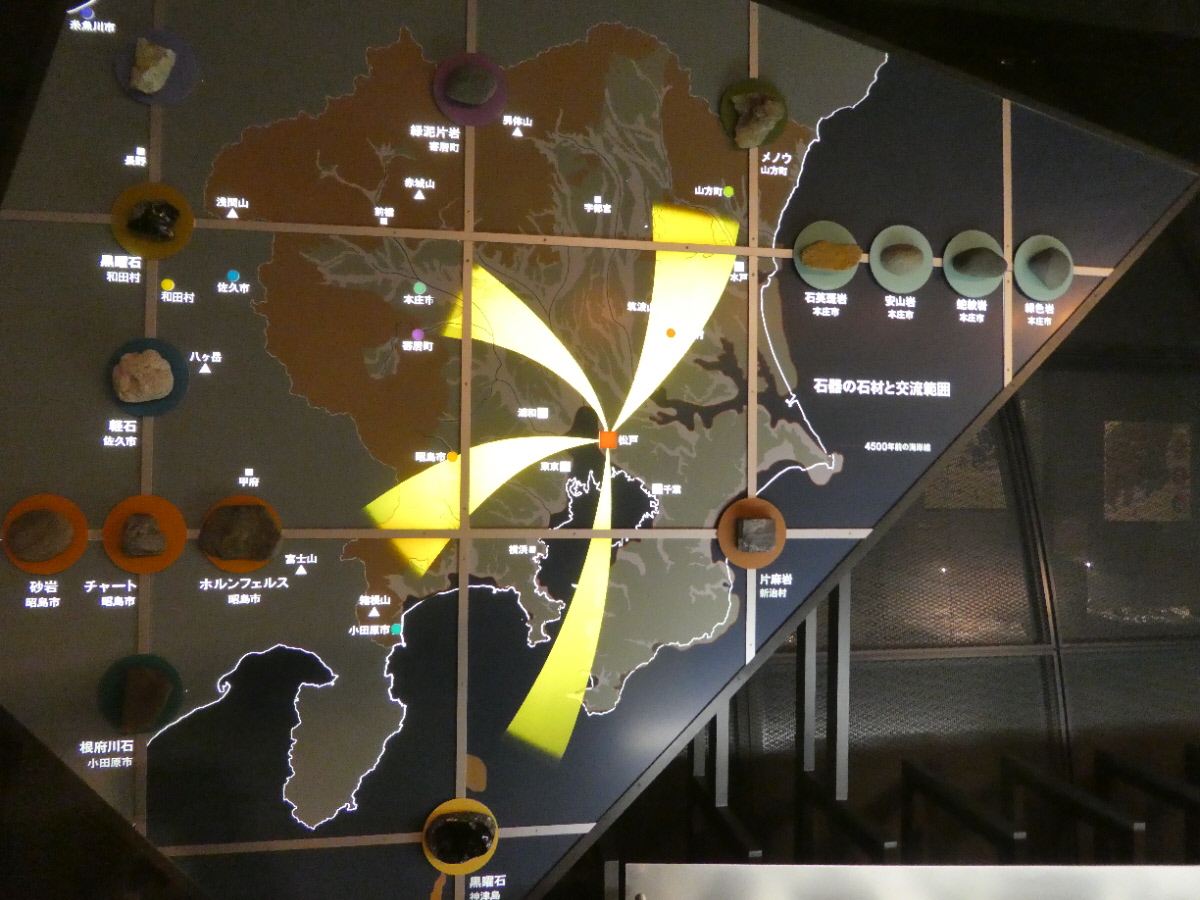 松戸市立博物館 常設展示