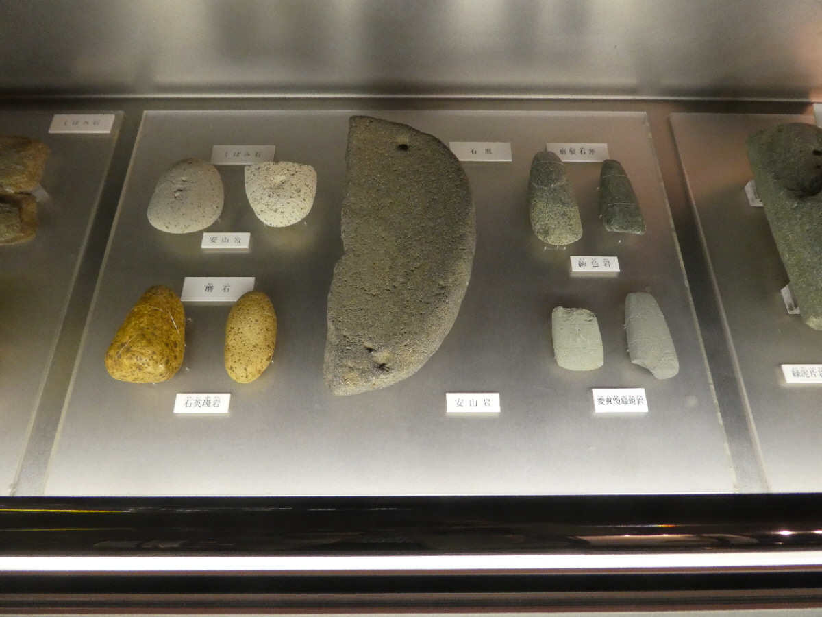 松戸市立博物館 常設展示