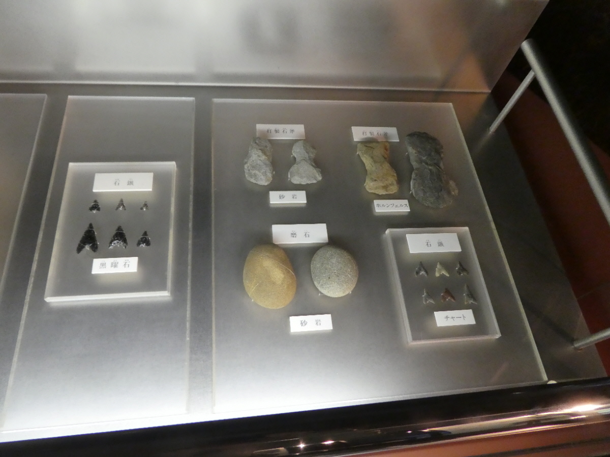 松戸市立博物館 常設展示