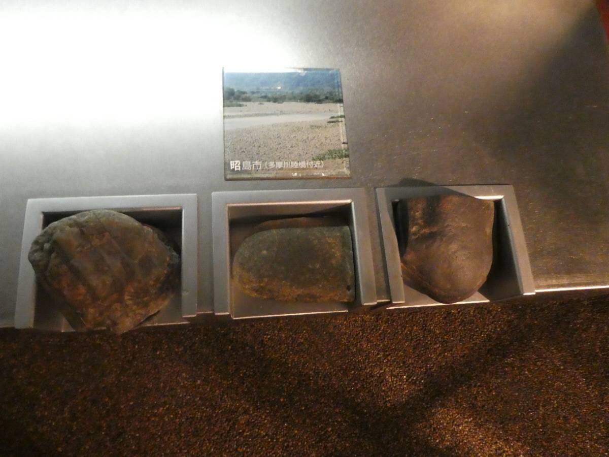 松戸市立博物館 常設展示