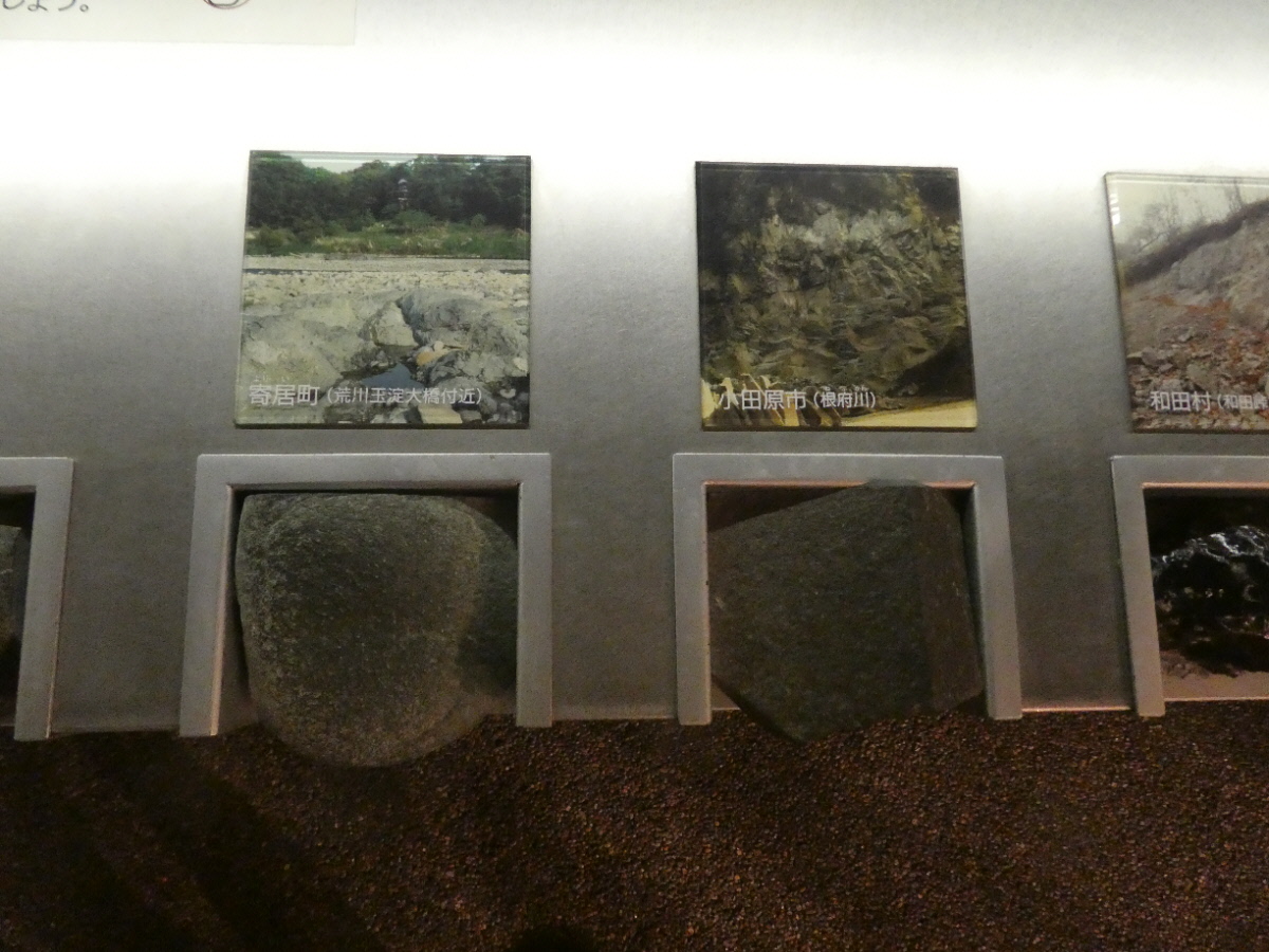 松戸市立博物館 常設展示