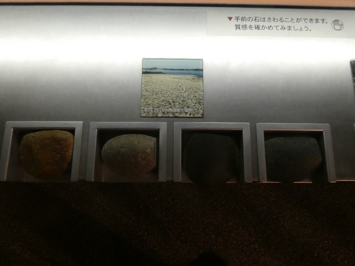 松戸市立博物館 常設展示