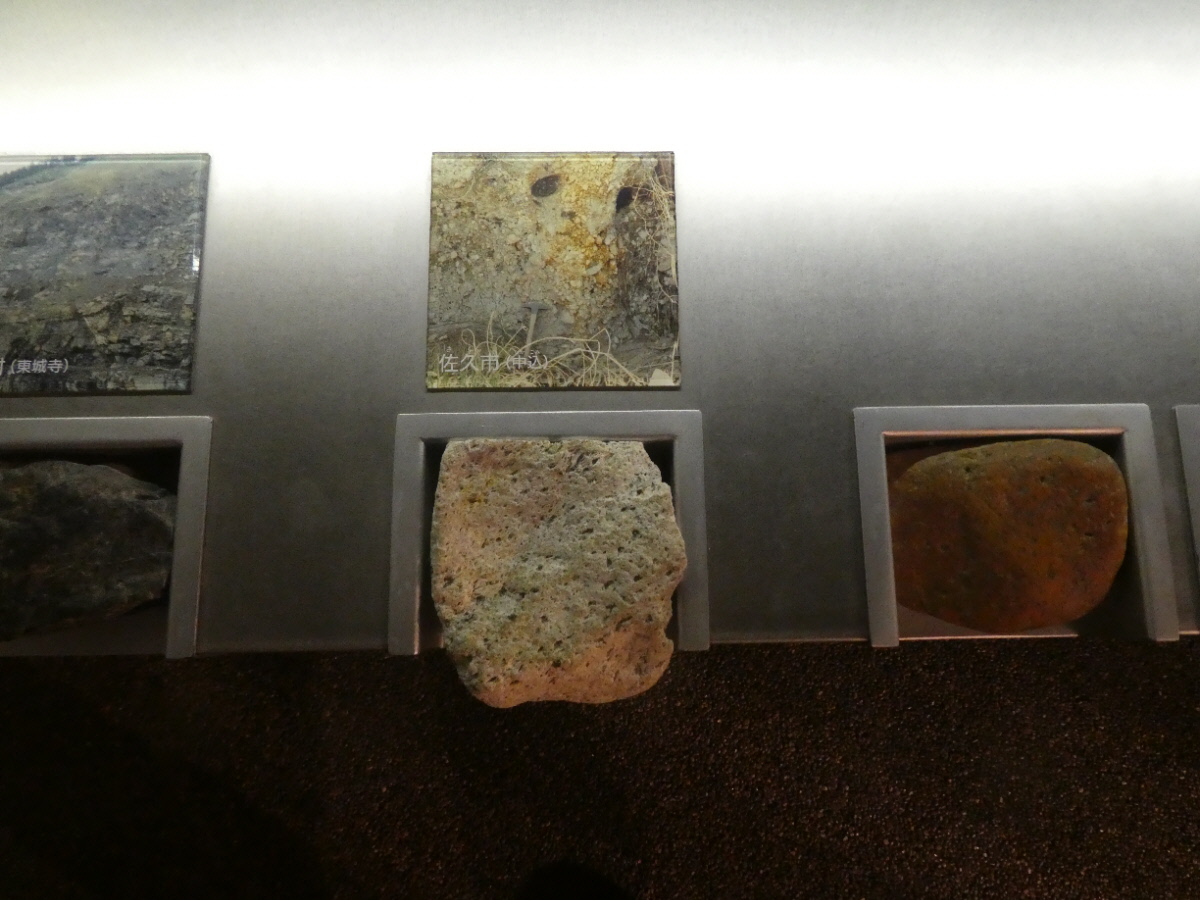 松戸市立博物館 常設展示