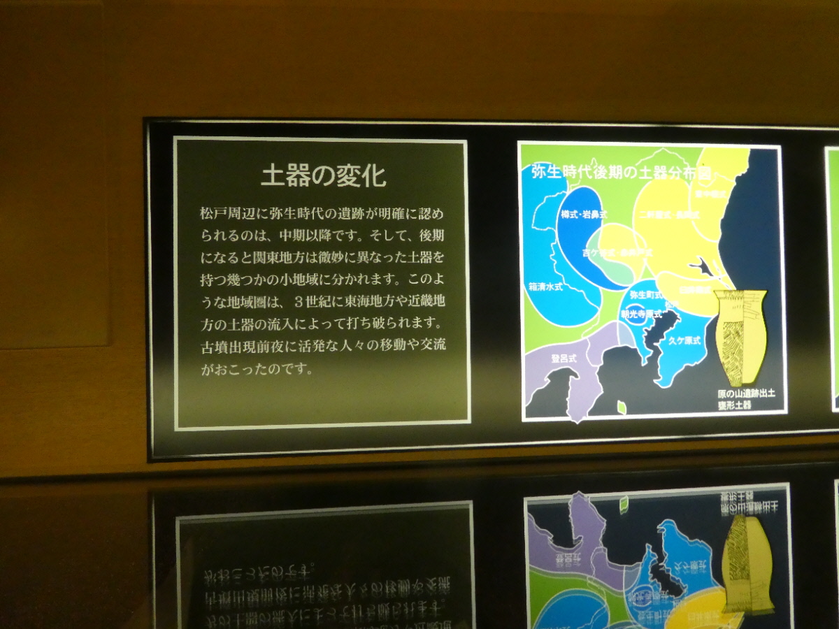 松戸市立博物館 常設展示