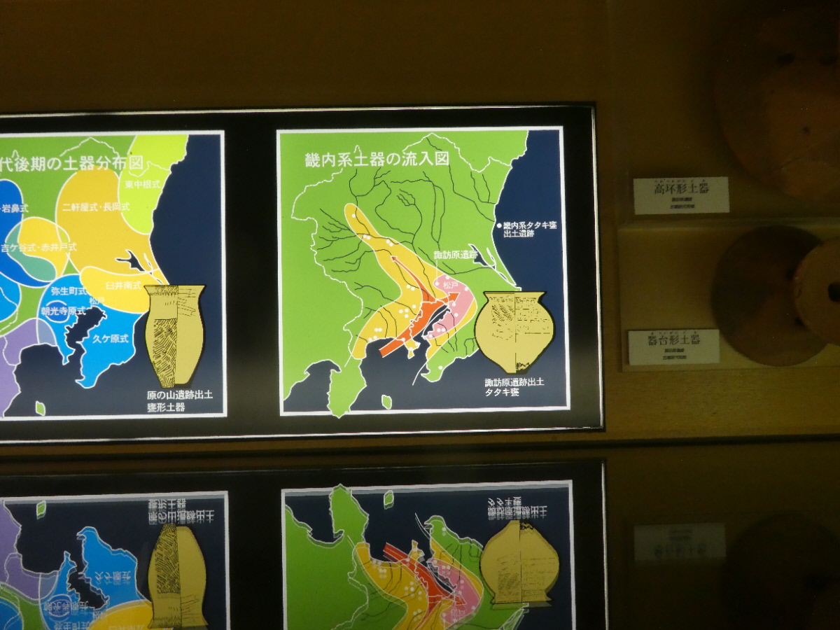 松戸市立博物館 常設展示