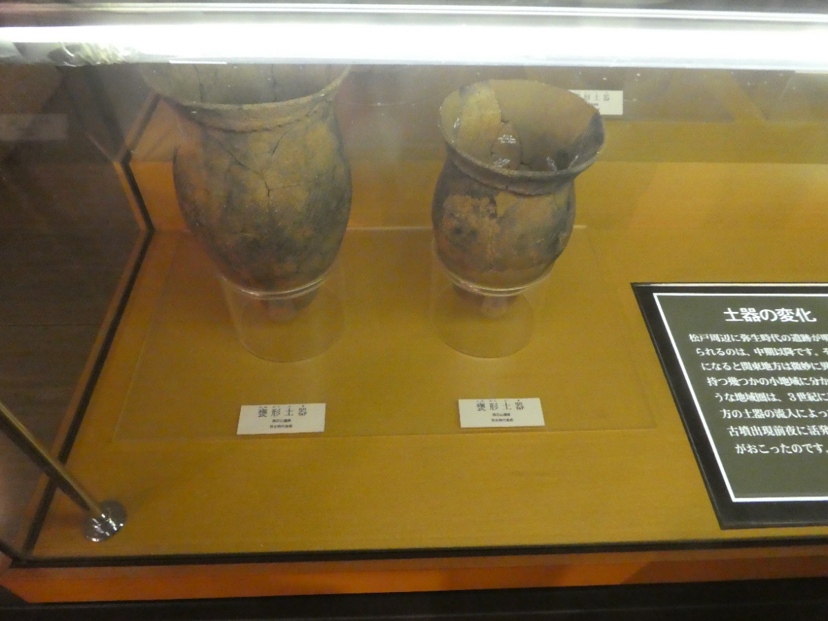 松戸市立博物館 常設展示