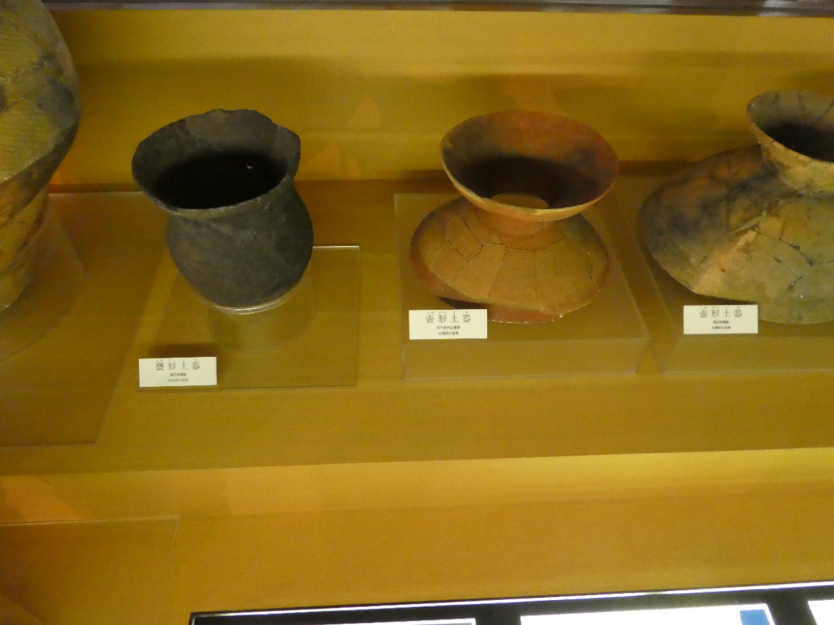 松戸市立博物館 常設展示