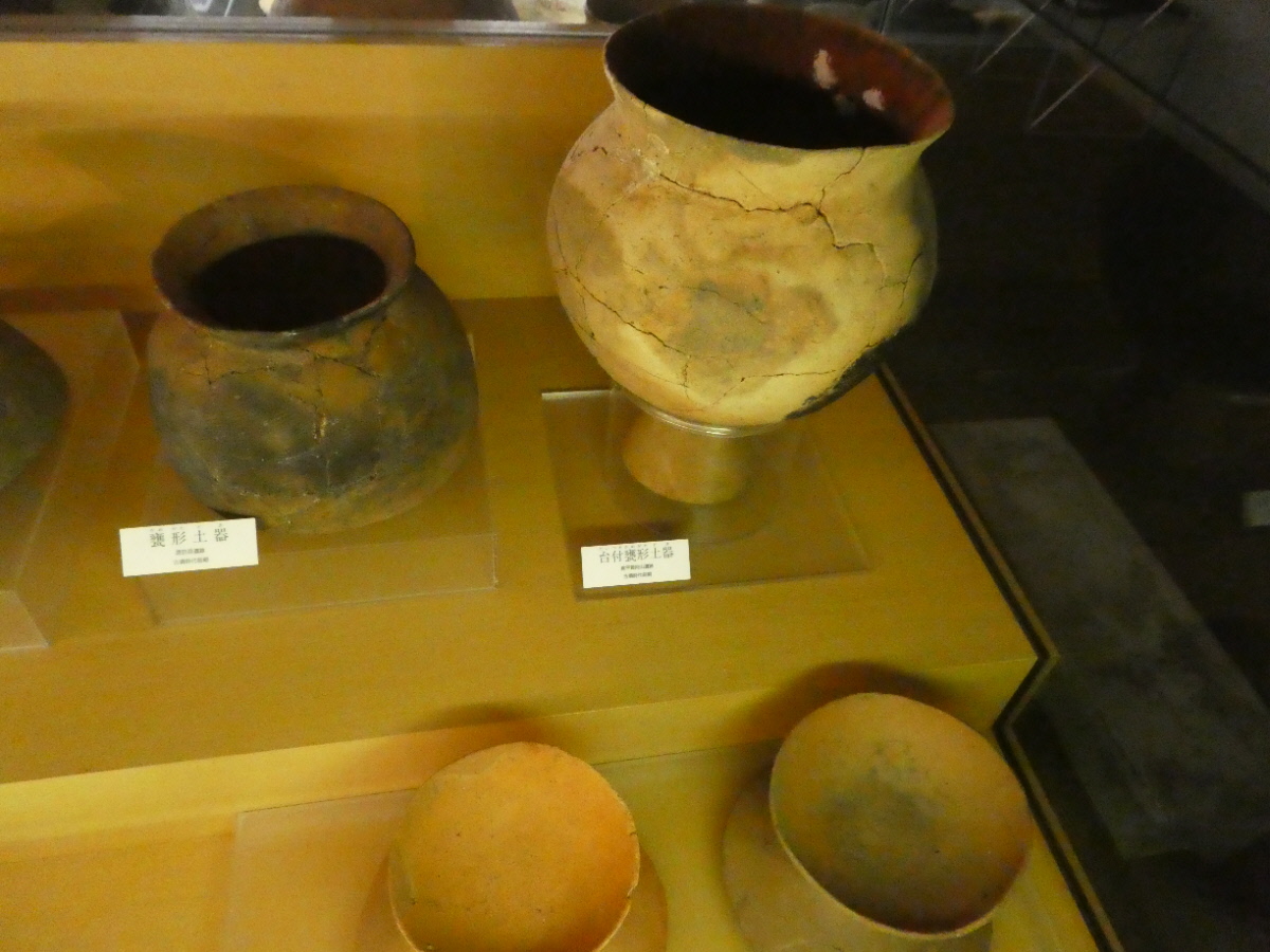 松戸市立博物館 常設展示