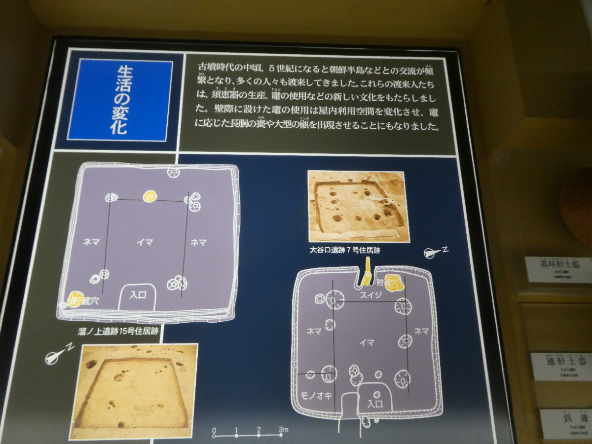 松戸市立博物館 常設展示