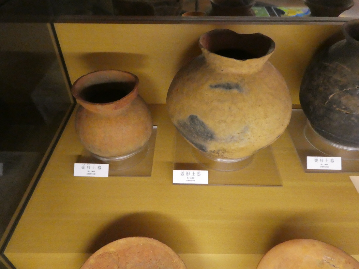 松戸市立博物館 常設展示