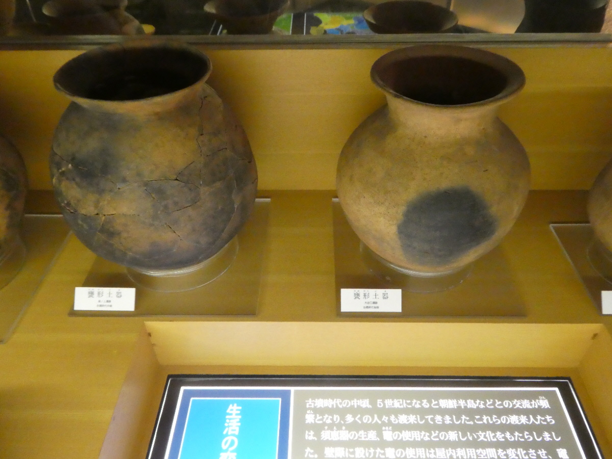 松戸市立博物館 常設展示