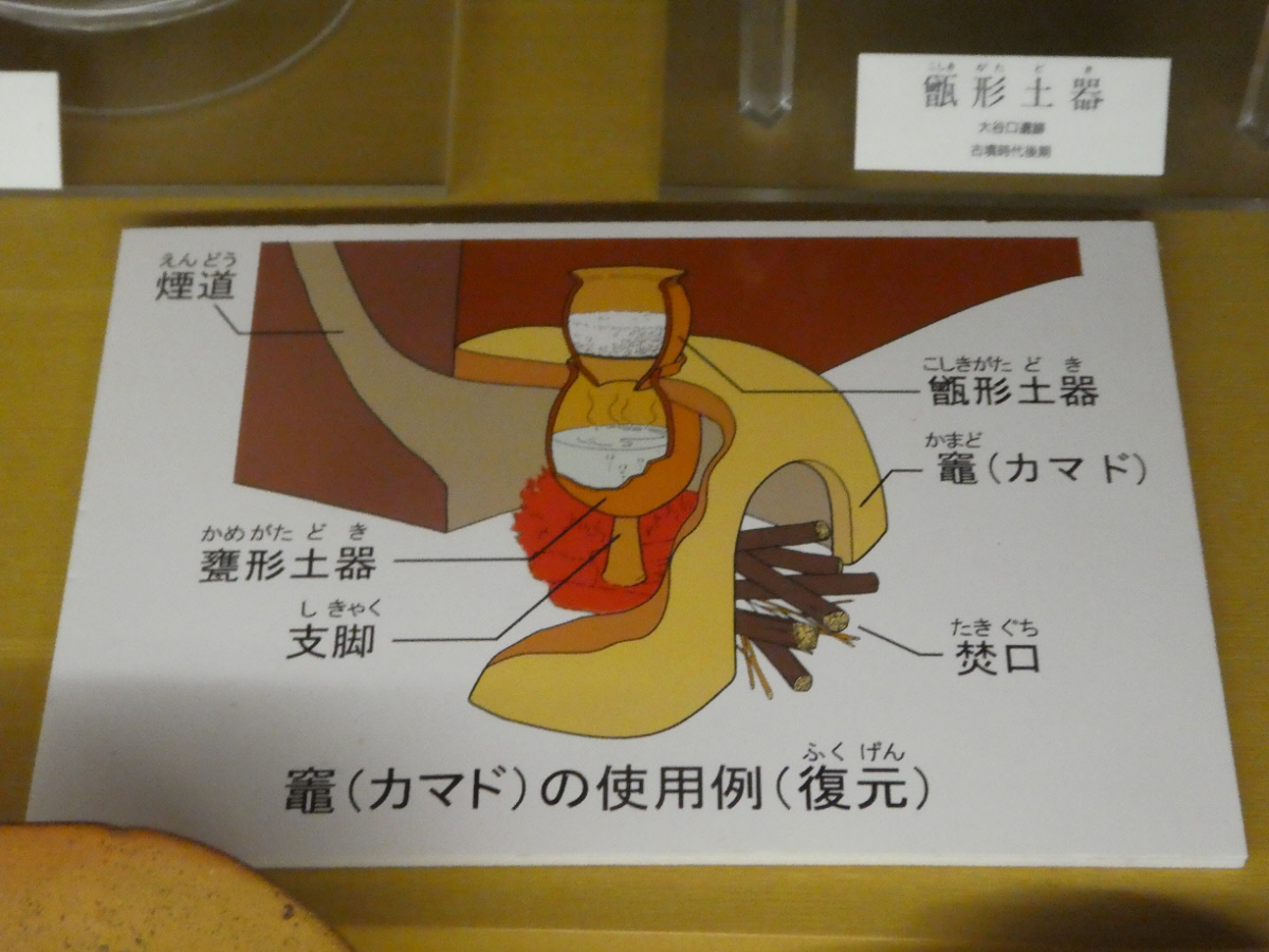 松戸市立博物館 常設展示