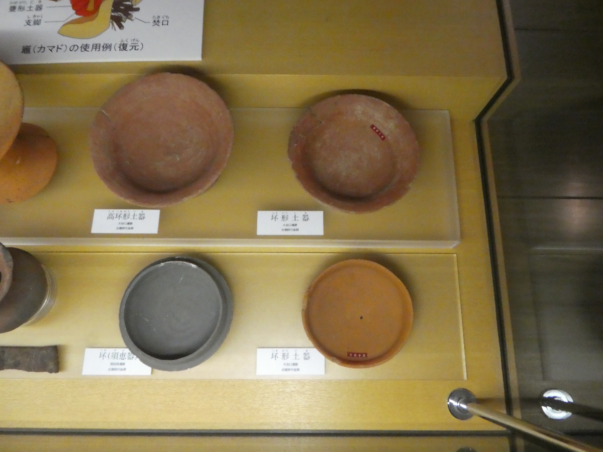 松戸市立博物館 常設展示