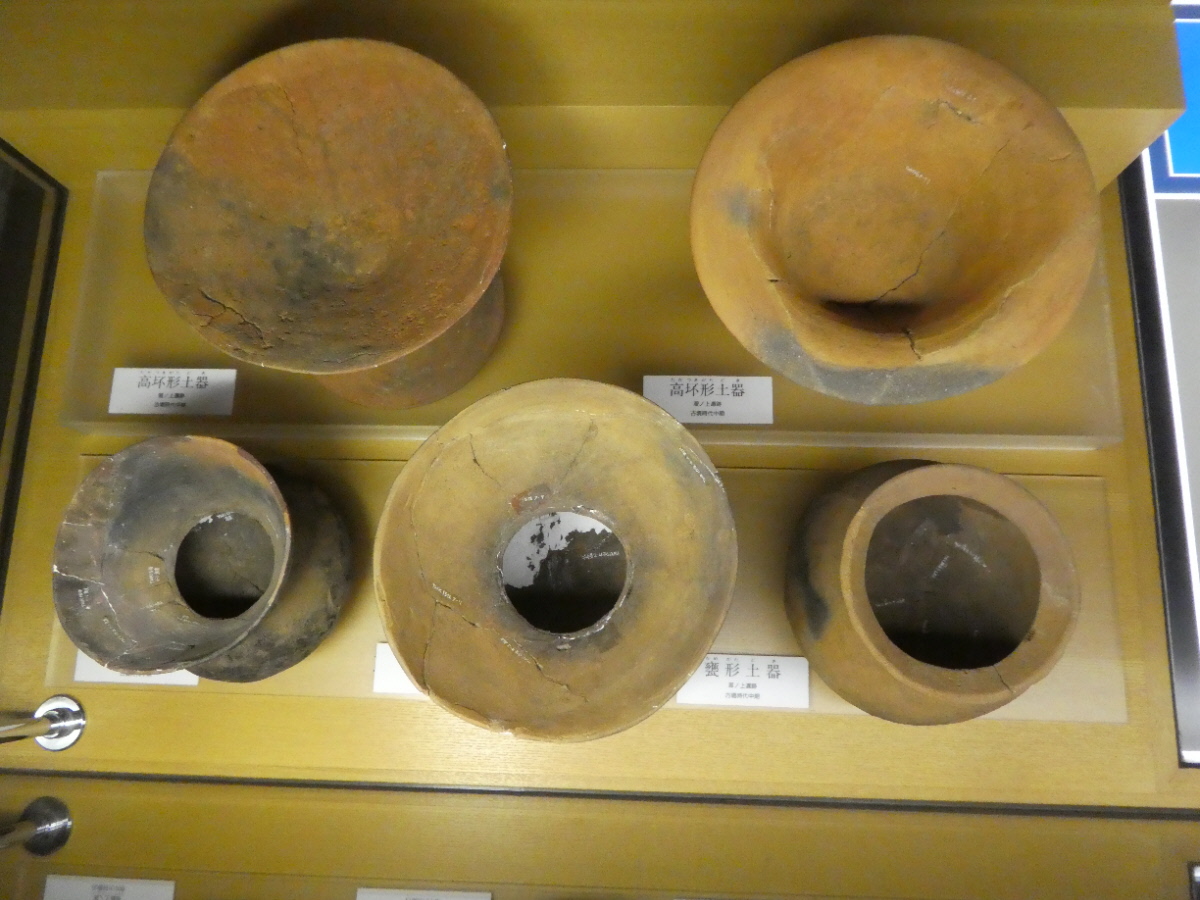 松戸市立博物館 常設展示