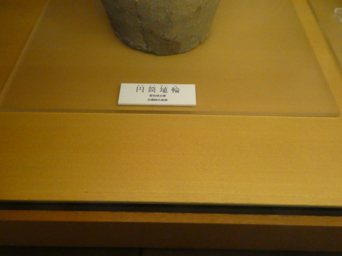 松戸市立博物館　常設展示