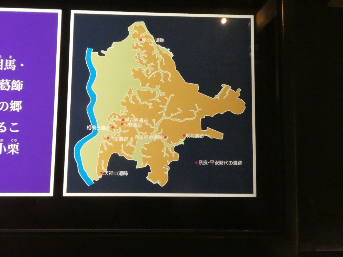 松戸市立博物館 常設展示