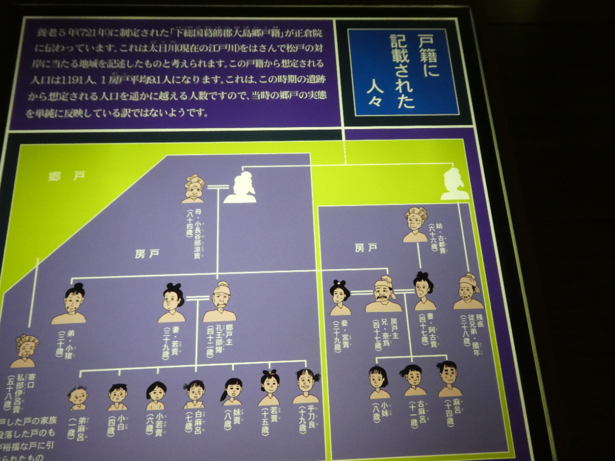 松戸市立博物館 常設展示