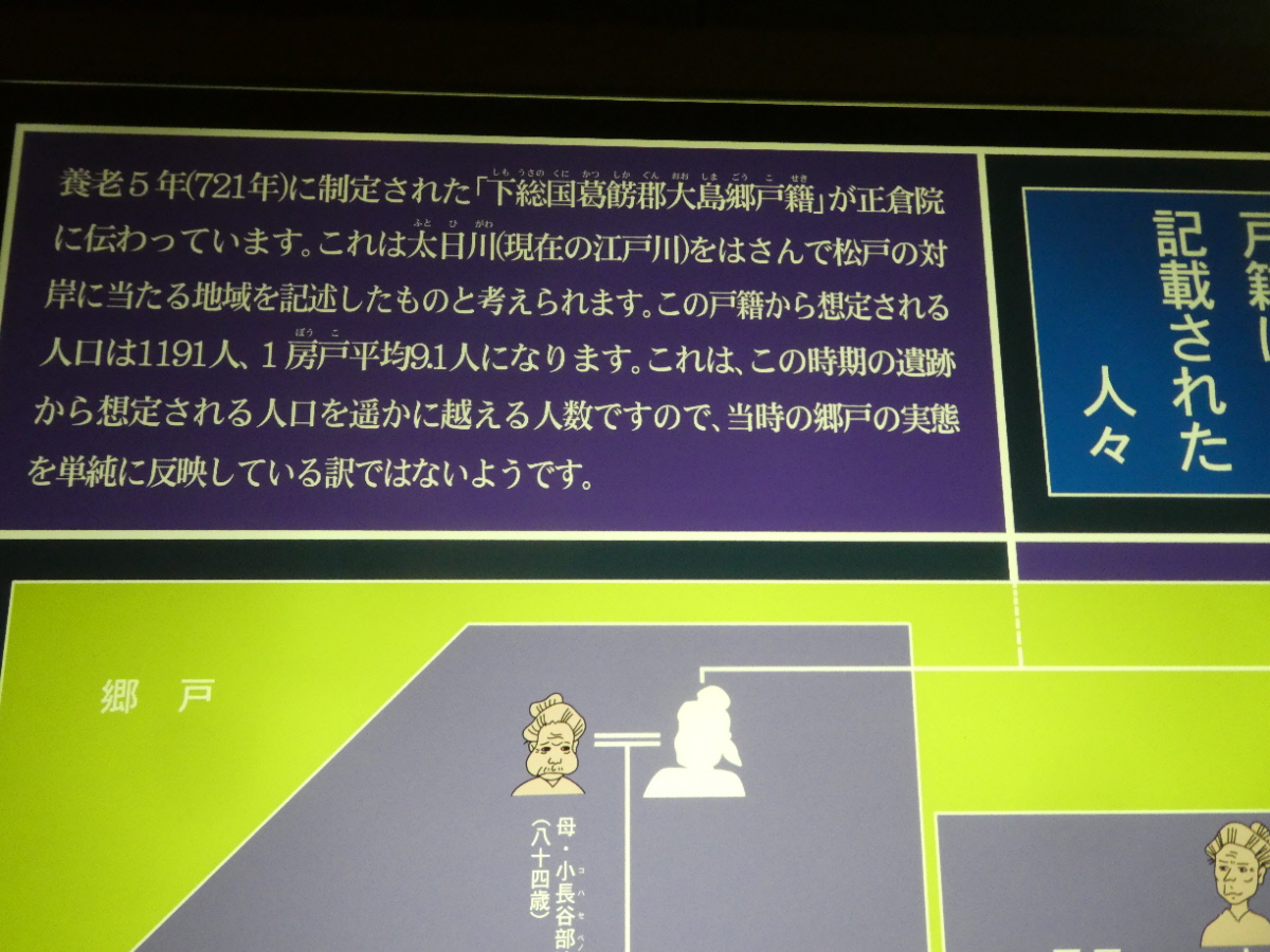 松戸市立博物館 常設展示