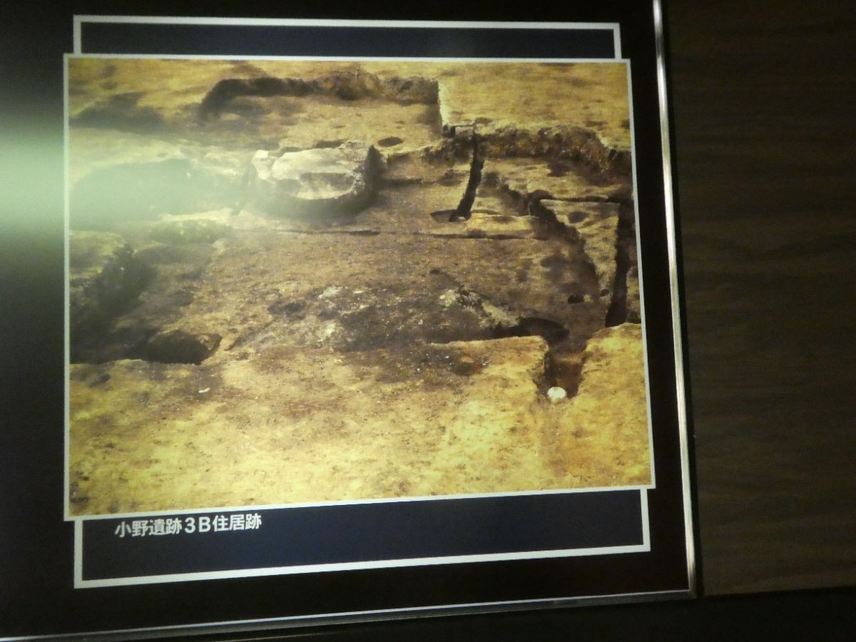 松戸市立博物館 常設展示