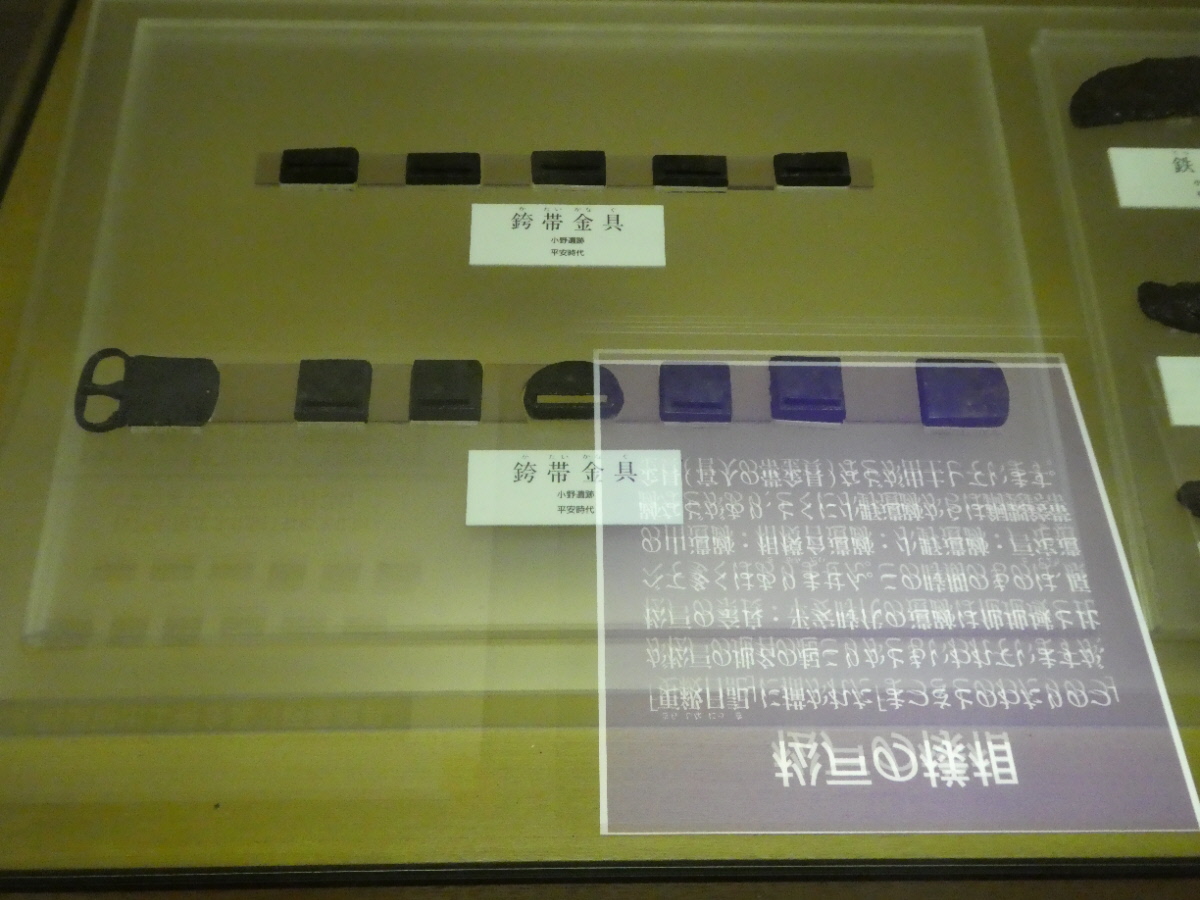 松戸市立博物館 常設展示