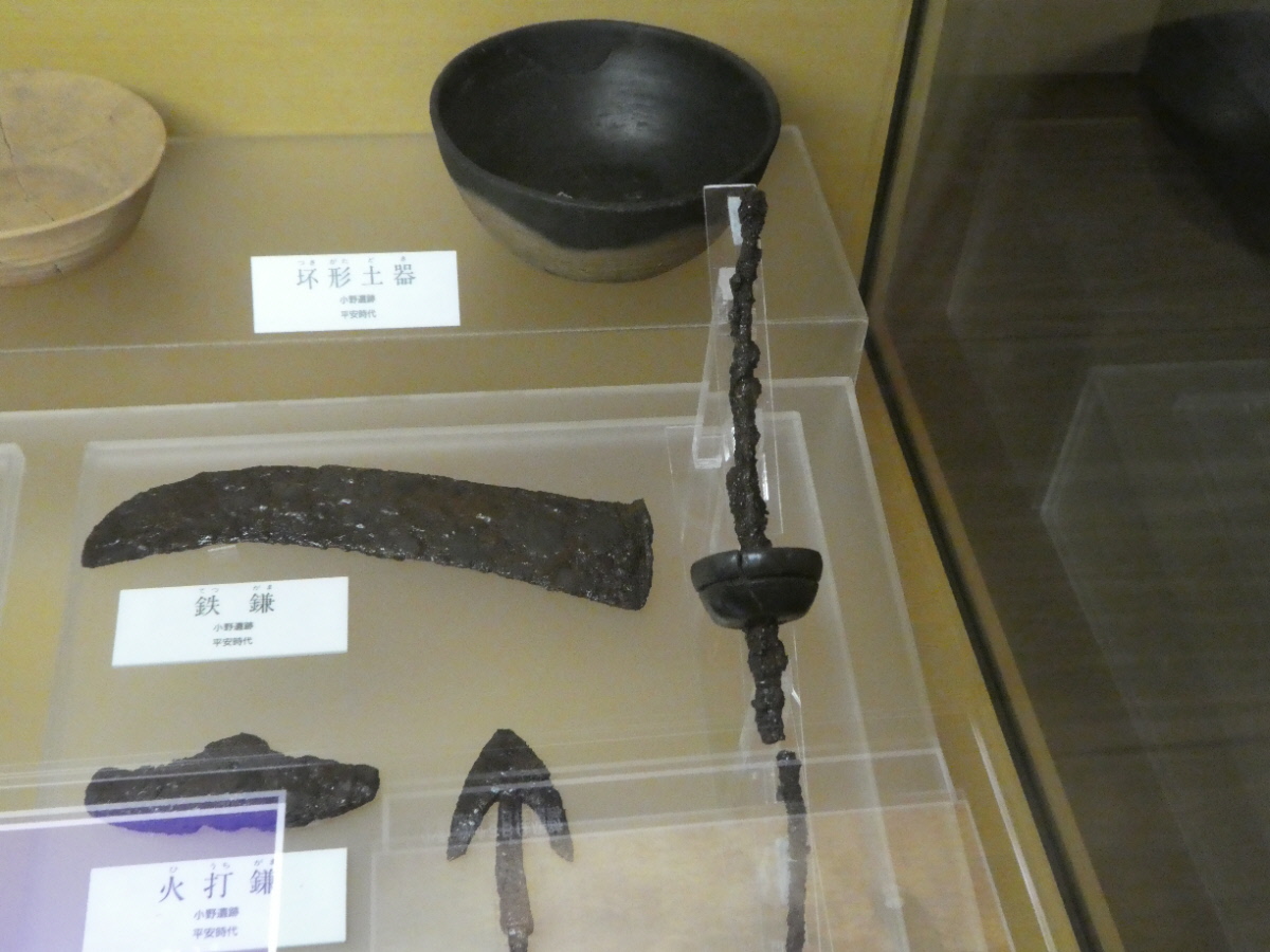 松戸市立博物館 常設展示