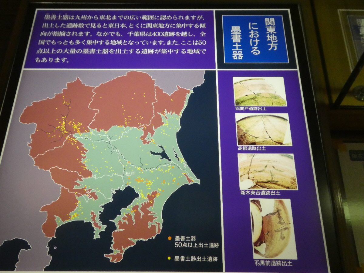 松戸市立博物館 常設展示