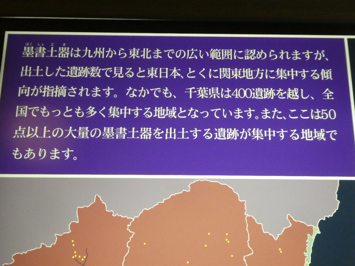 松戸市立博物館 常設展示