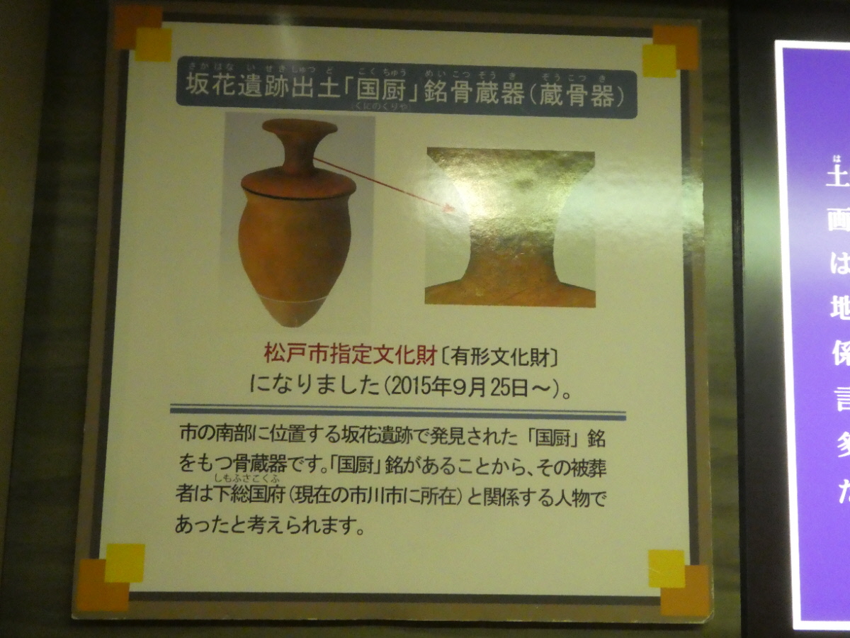 松戸市立博物館 常設展示
