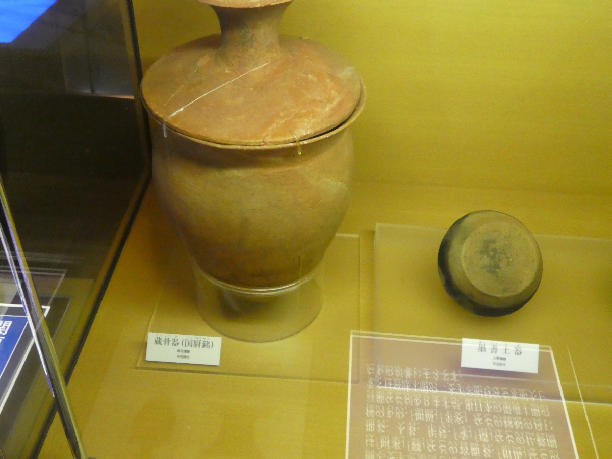 松戸市立博物館 常設展示