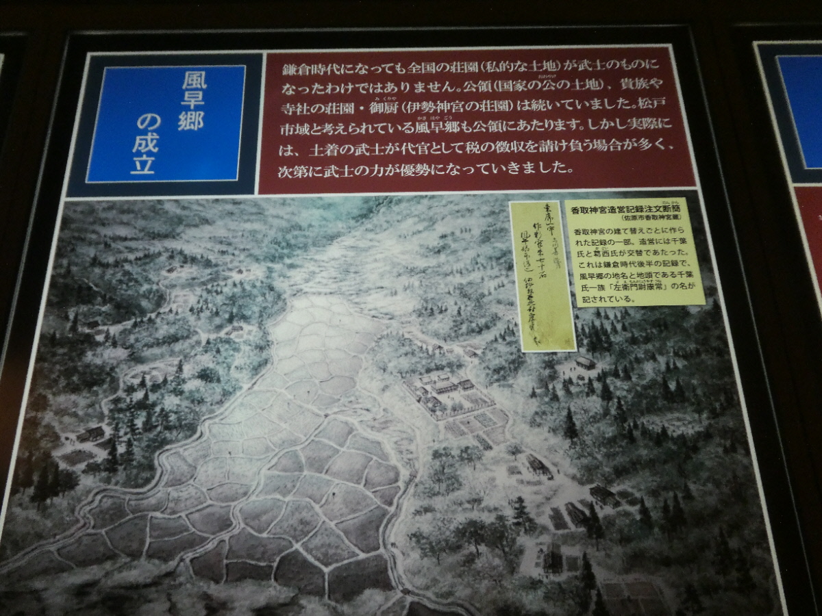 松戸市立博物館 常設展示