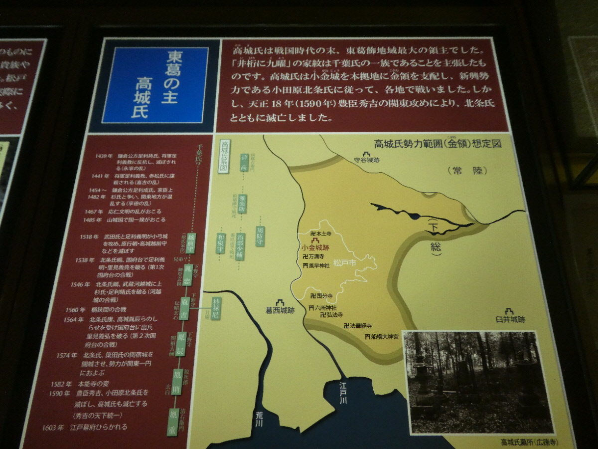 松戸市立博物館 常設展示