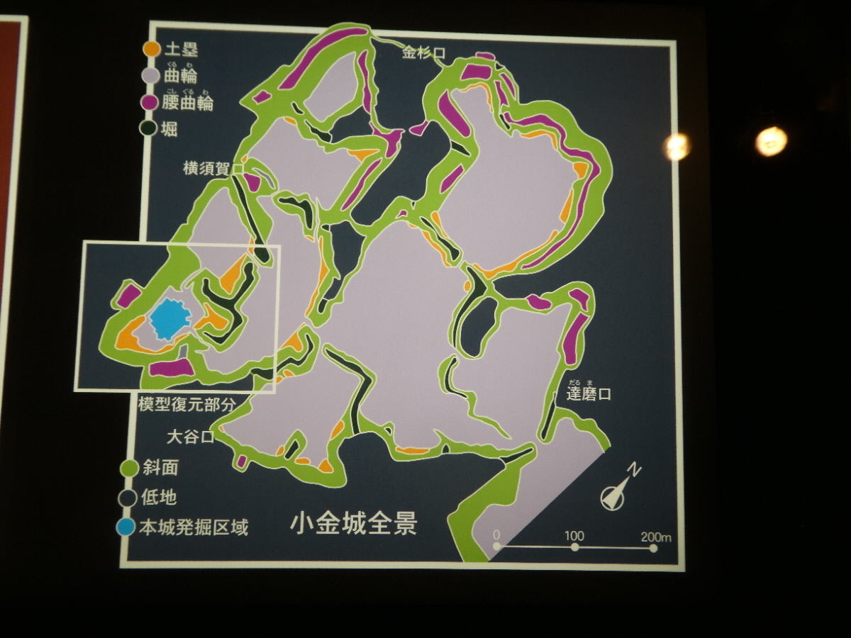 松戸市立博物館 常設展示