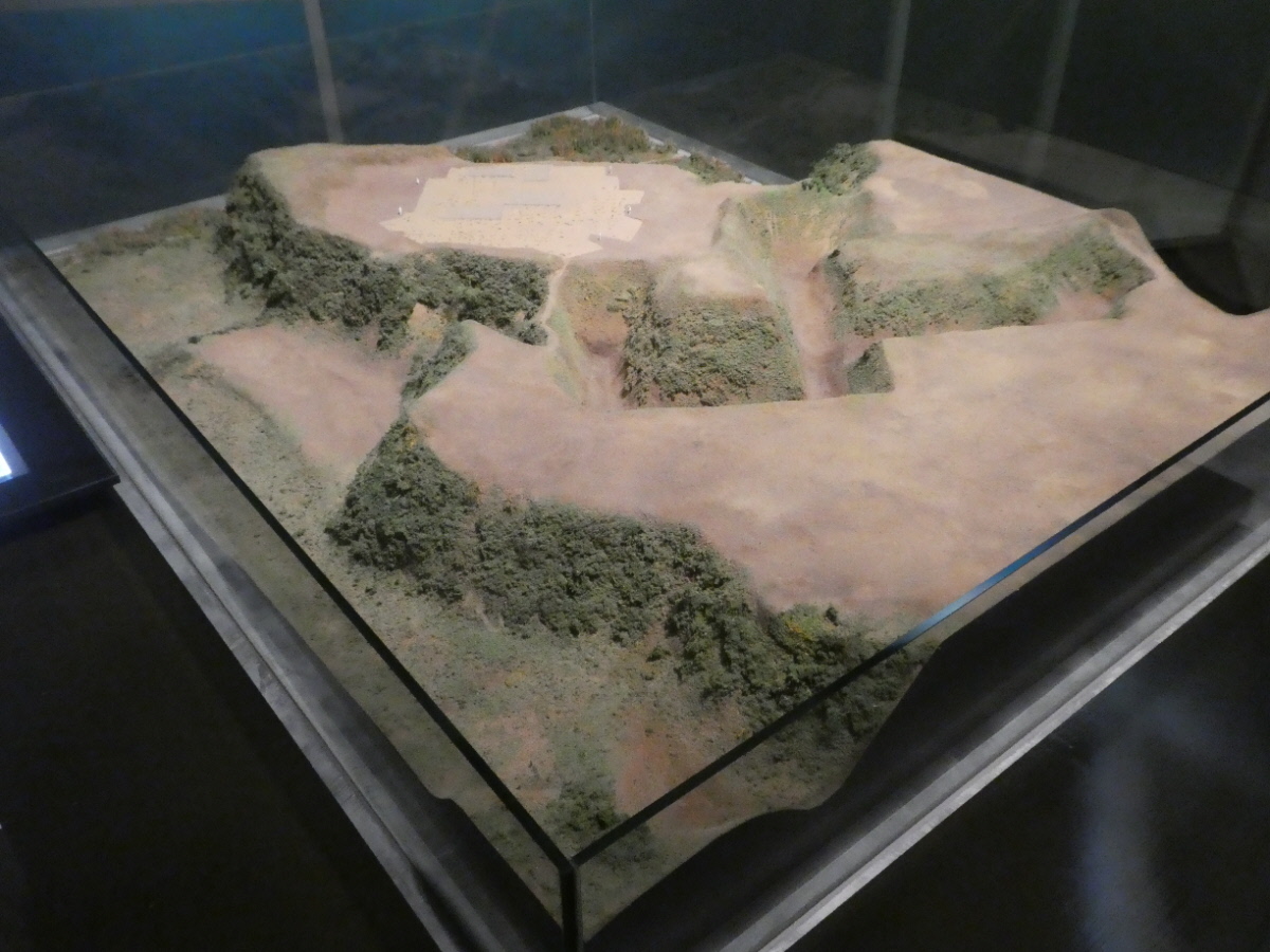 松戸市立博物館 常設展示