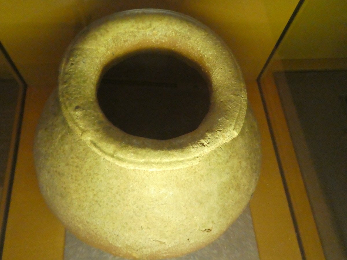 松戸市立博物館 常設展示