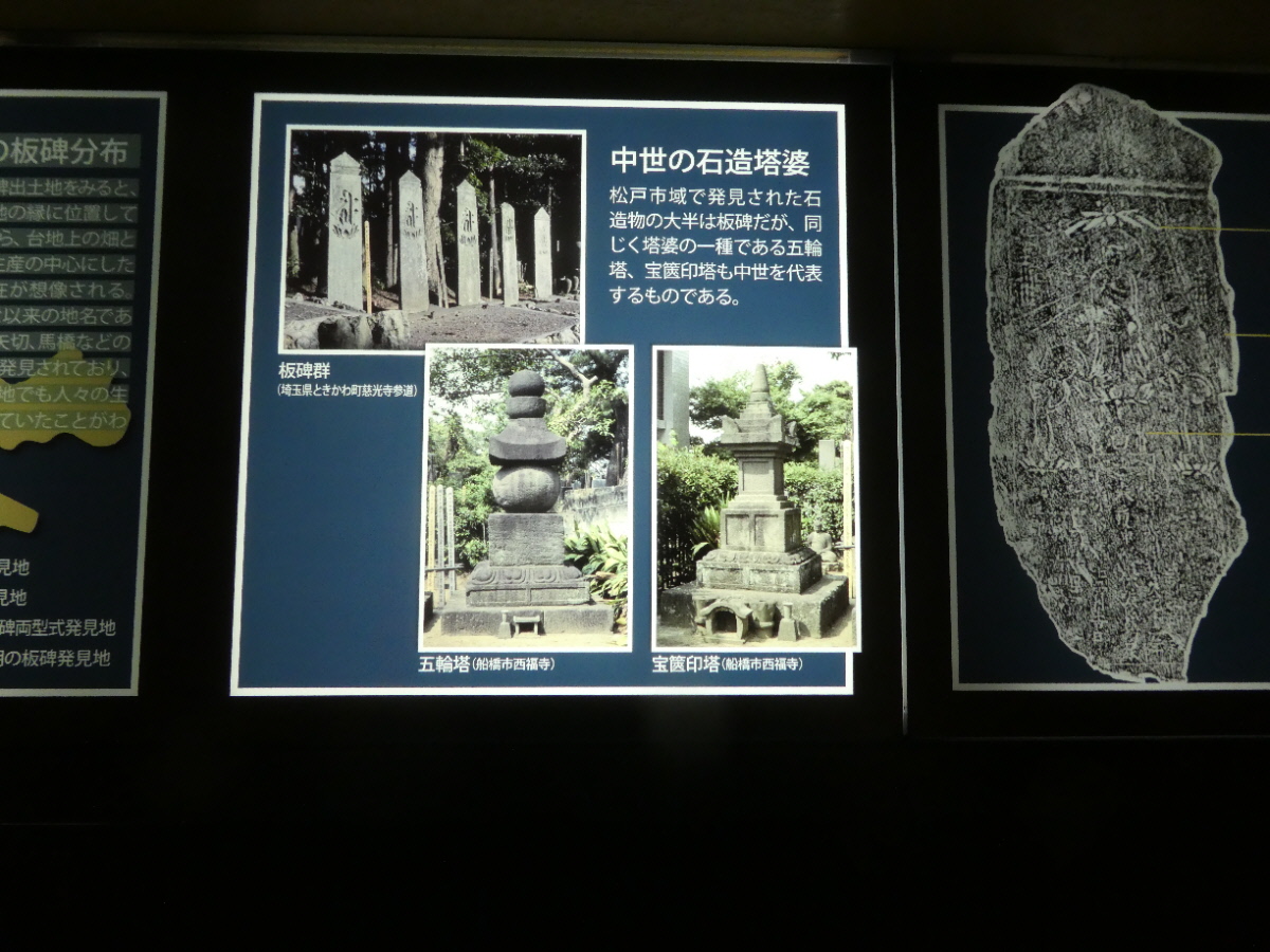 松戸市立博物館 常設展示