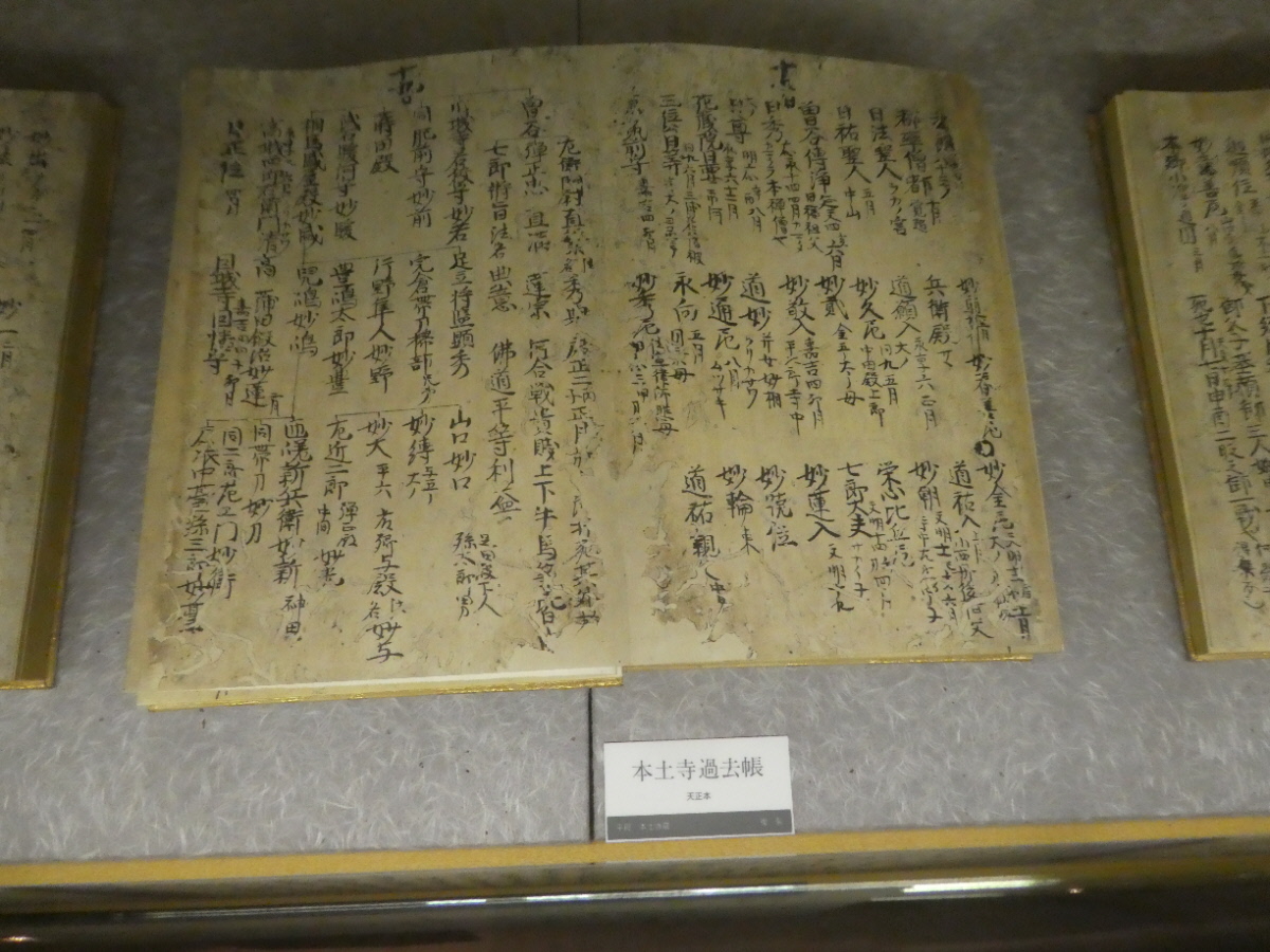 松戸市立博物館 常設展示