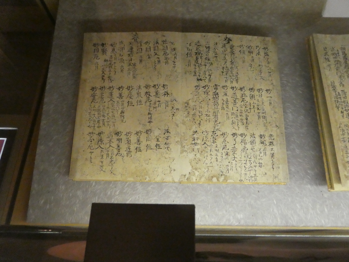 松戸市立博物館 常設展示