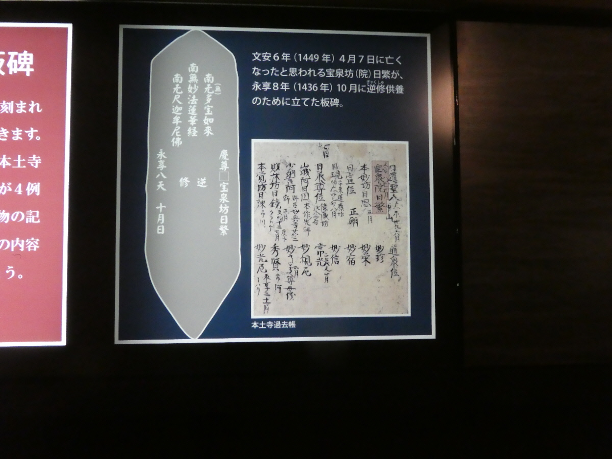 松戸市立博物館 常設展示