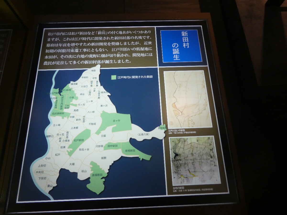 松戸市立博物館 常設展示