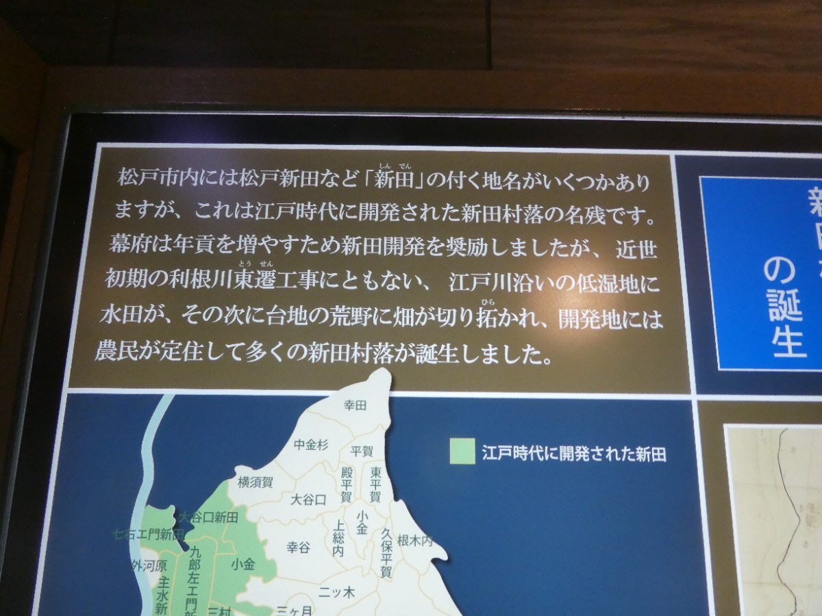 松戸市立博物館 常設展示