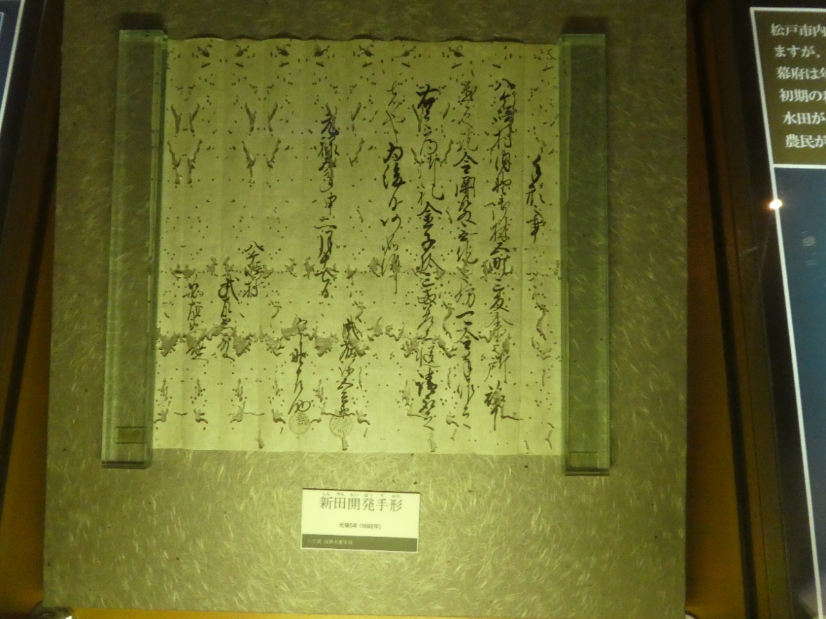 松戸市立博物館 常設展示