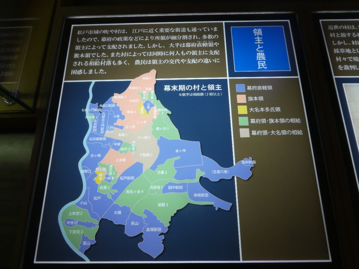 松戸市立博物館 常設展示