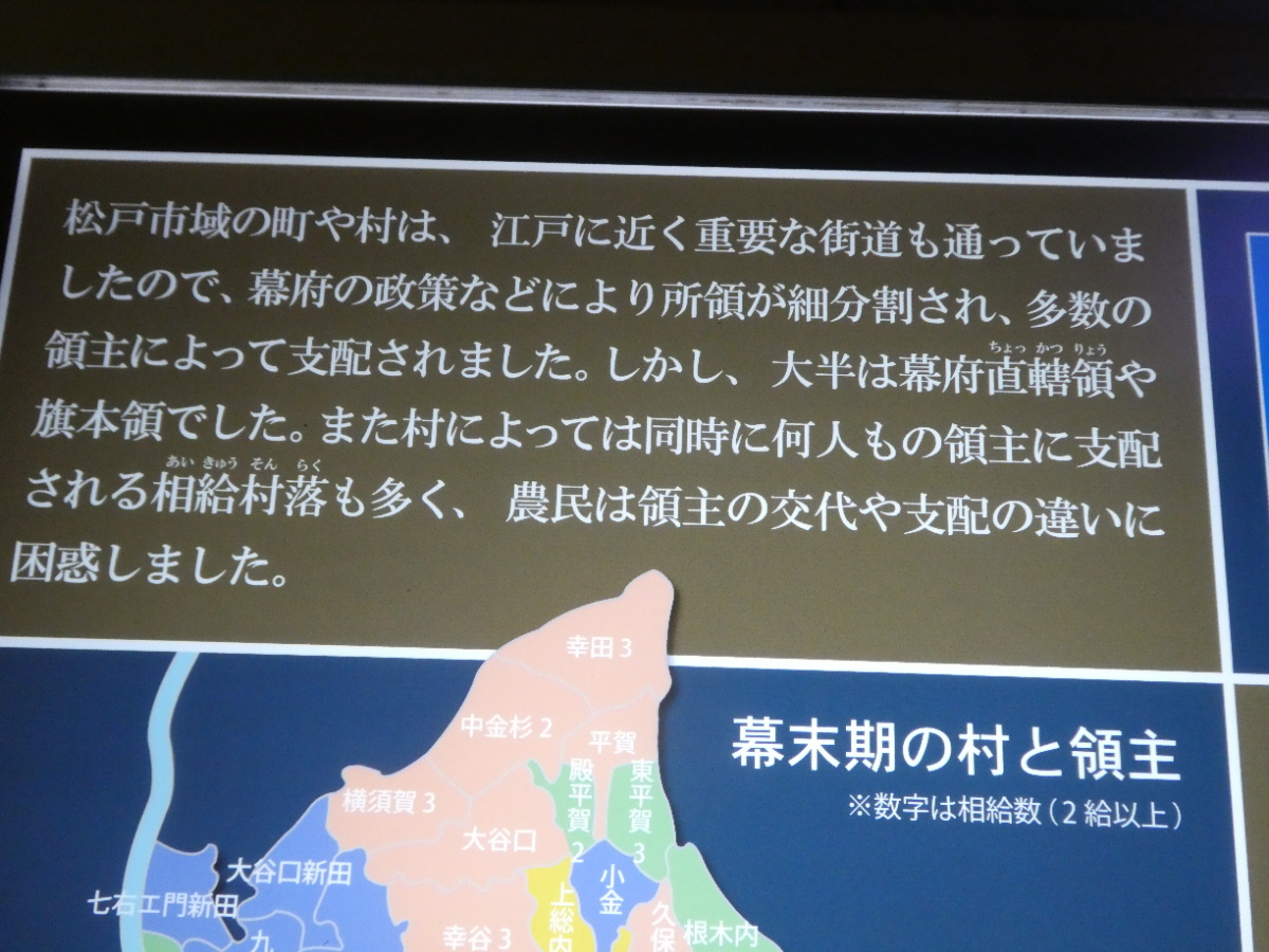 松戸市立博物館 常設展示