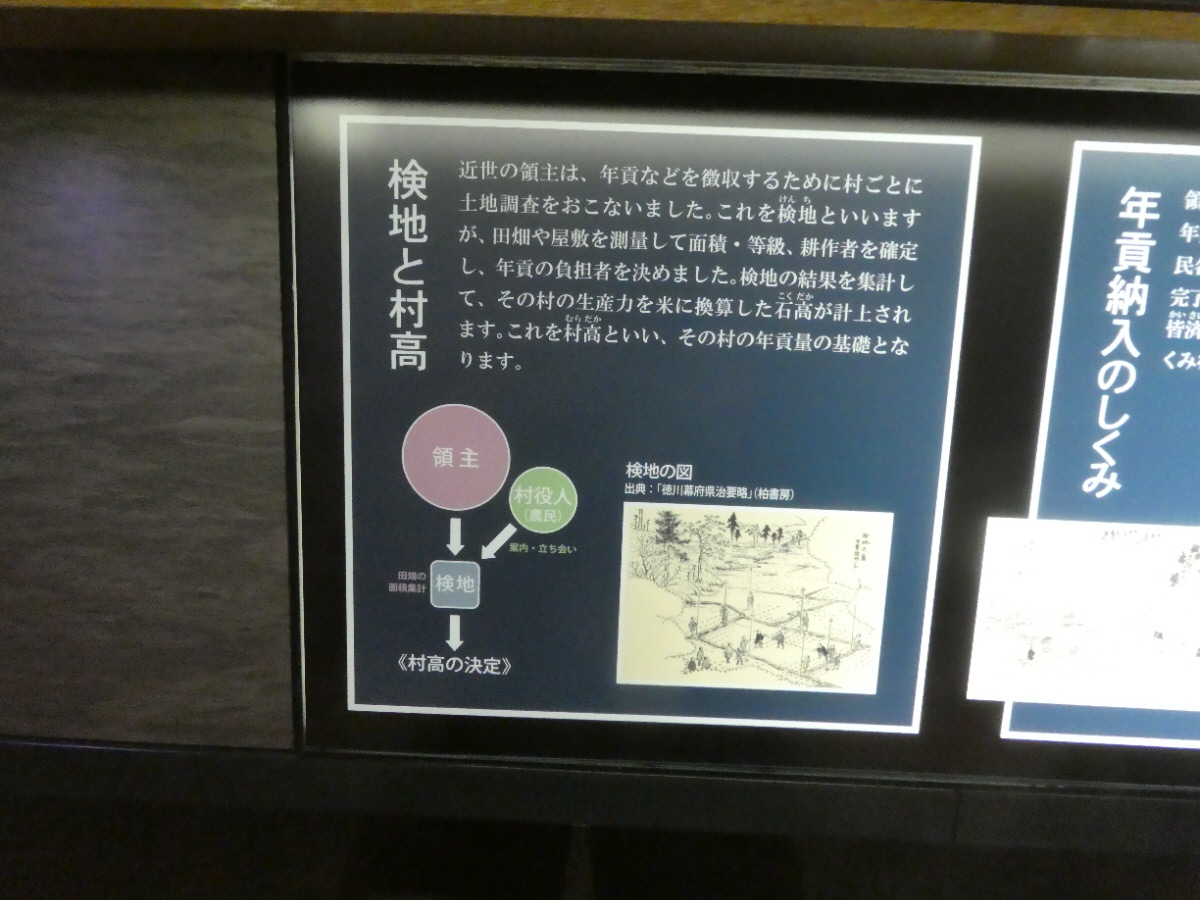松戸市立博物館 常設展示