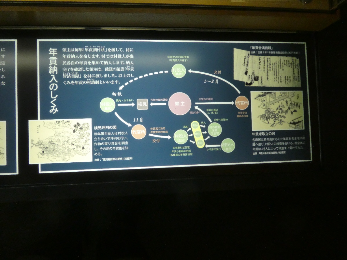 松戸市立博物館 常設展示